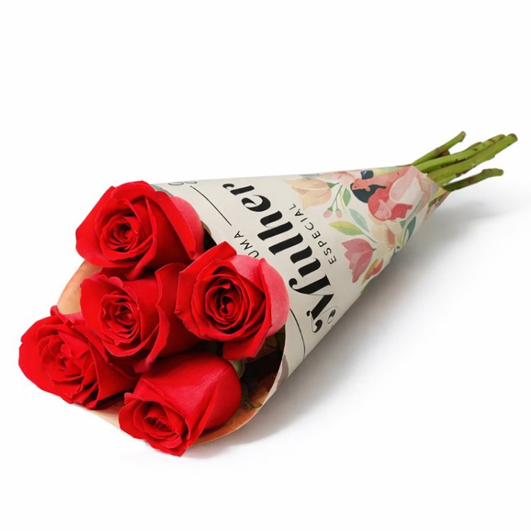 Braçado 05 rosas vermelhas
