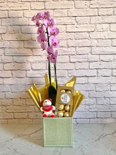 Caixa Orquídea Rosa + Chocolate + Pelúcia + Vaso