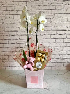 Caixa Orquídea Branca + Chocolate + Pelúcia + Vaso