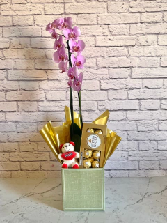 Kit Orquídea Rosa + Chocolate + Pelúcia + Vaso